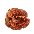 Buriti Orange Napkin Rings (Set of 2)